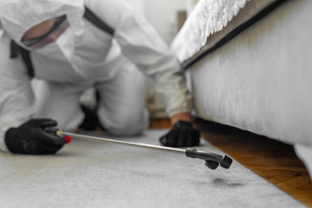 Professional Bed Bug Control technician working in Bedford, IN